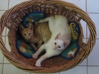 20100206 595.JPG